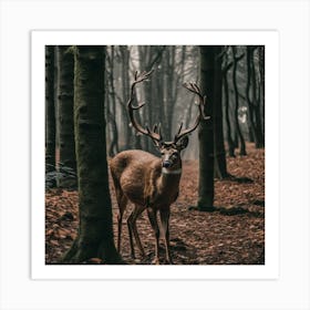 Deer In The Forest 31 Art Print