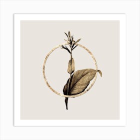 Gold Ring Indian Shot Glitter Botanical Illustration n.0057 Art Print