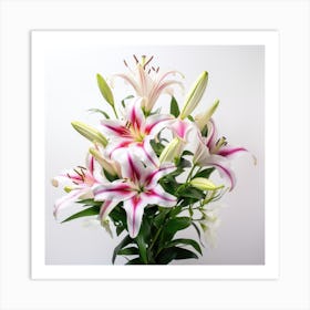 Lily Bouquet Art Print