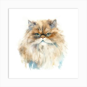 Persian Himalayan Cat Portrait 2 Art Print