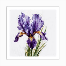 Iris 1 1 Art Print