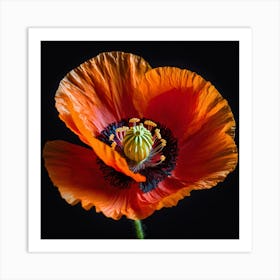 Ethereal poppy flower 10 Art Print