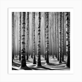 Birch Forest 7 Art Print