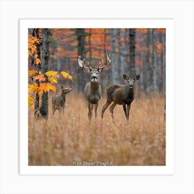 Whitetail Deer Art Print
