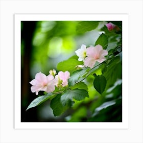 Flowers Leaves Nature Soft Freshness Pastel Botanical Plants Blooms Foliage Serene Delic (4) Art Print