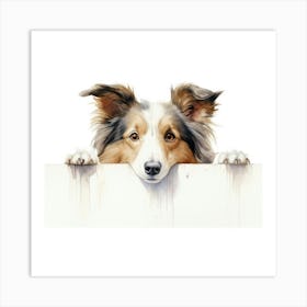 Shetland Sheepdog Art Print