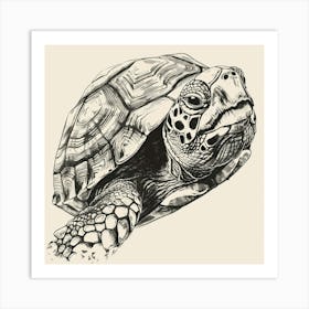 Sea Turtle Art Print