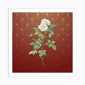 Vintage White Anjou Roses Botanical on Falu Red Pattern n.0697 Art Print