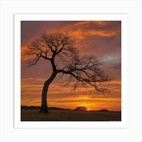 Bare Tree At Sunset Art Print