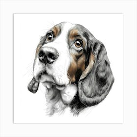 Basset Hound 1 Art Print