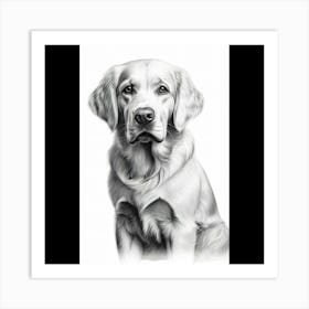 Golden Retriever Art Print