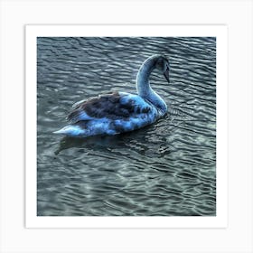 Swan In The Lake Art Print