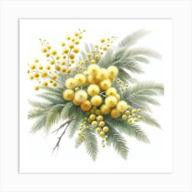 Flower of Mimosa Art Print