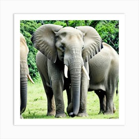 Elephants In The Wild 3 Art Print