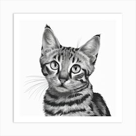 Striking Gaze Black And White Cat Illustration (1) Art Print