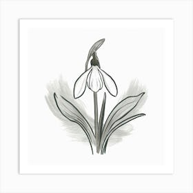 Snowdrop Art Print