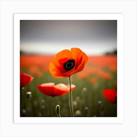 Poppy Field 1 Art Print