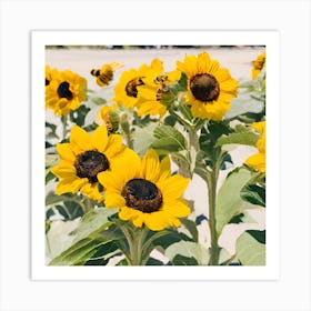 Sunflowers On The Beach Art Print