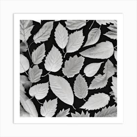 Black And White Leaves 2 Art Print