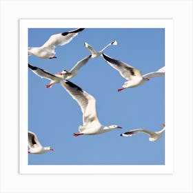Seagulls In Flight Capture A Flock Of Seagulls Soaring Above The Sea Their Wings Outstretched Agai Art Print