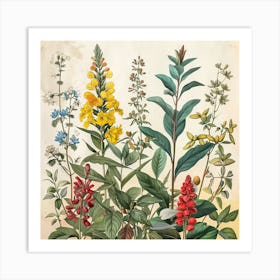 Wildflowers 3 Art Print