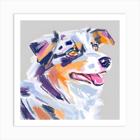 Australian Shepherd 03 Art Print