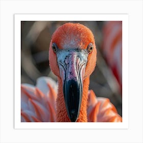 Flamingo 77 Art Print