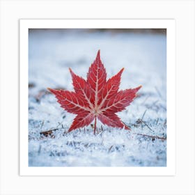 Red Maple Leaf In The Snow Art Print