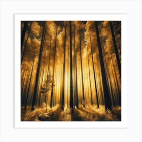 Golden Light In The Forest 2 Art Print