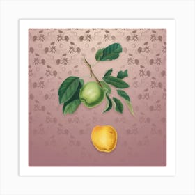 Vintage Apple Botanical on Dusty Pink Pattern n.2080 Art Print