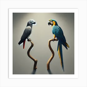 Parrots 2 Art Print