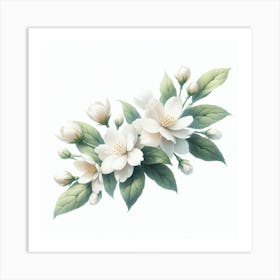 Flowers of Jasmine 3 Art Print