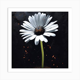 Daisy Art Print