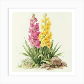 Gladiolas Art Art Print