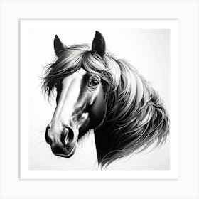 Black And White Horse Head Art Print