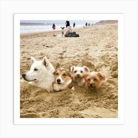 Dogs In The Sand Art Print