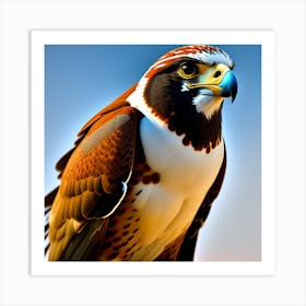 A falcon with beautiful colors Art Print