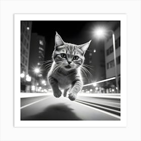 Cat In The City 3 Art Print