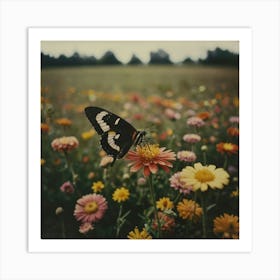 Butterfly In A Field 1 Art Print