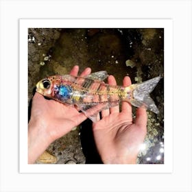 Plastic Fish Art Print