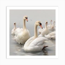 Swans 9 Art Print