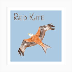 Red Kite Bird of Prey Art Print