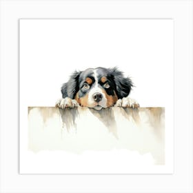 Bernese Mountain Dog 2 Art Print