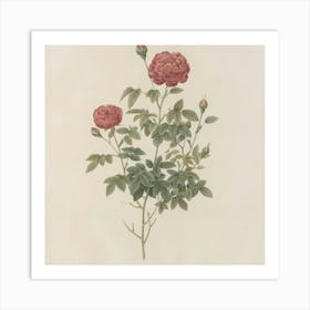 Roses 6 Art Print