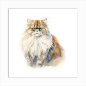 British Longhair Persian Cat Portrait 2 Art Print