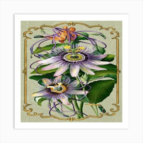 Passion Flower 1 Art Print