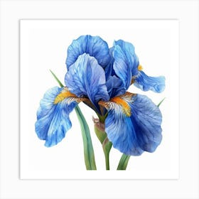 Blue Iris Poster