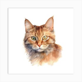 York Chocolate Cat Portrait Art Print