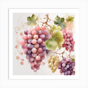 Pink grapes, White grapes, vine Art Print