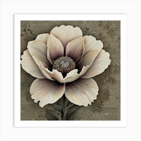 Anemone Art Print